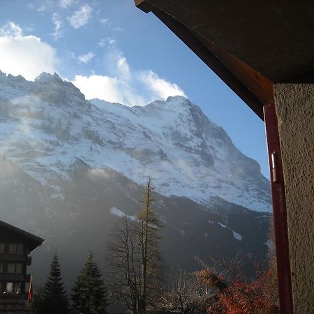 Pfaffenstoeckli Apartment Grindelwald Exterior photo