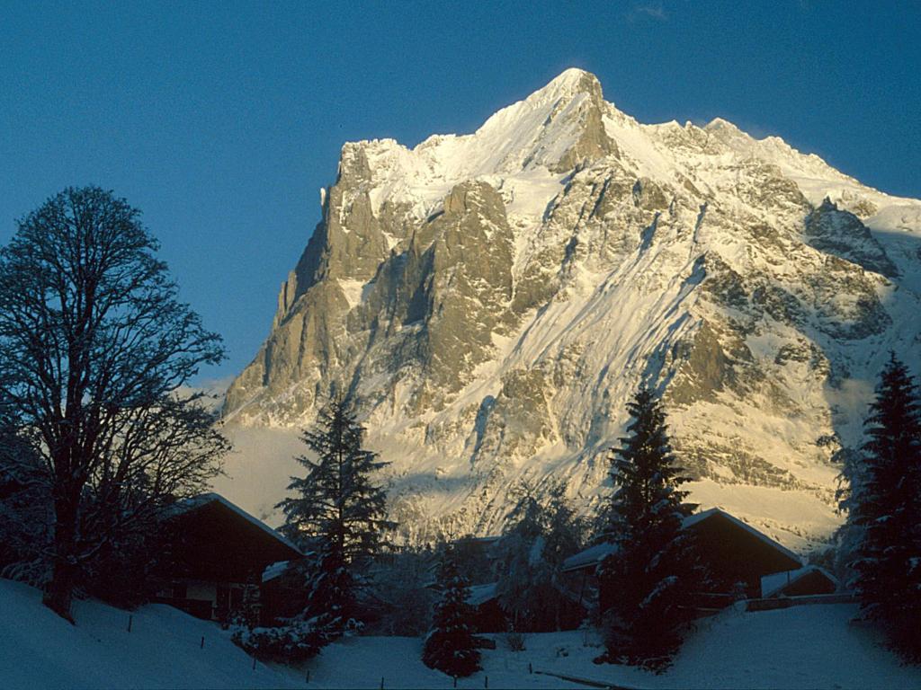 Pfaffenstoeckli Apartment Grindelwald Exterior photo
